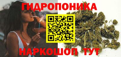 эйфоретик Кимры