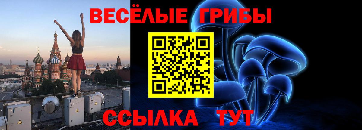 Галлюциногенные грибы MAGIC MUSHROOMS Кудрово